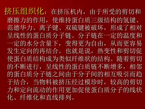 双螺杆挤压机