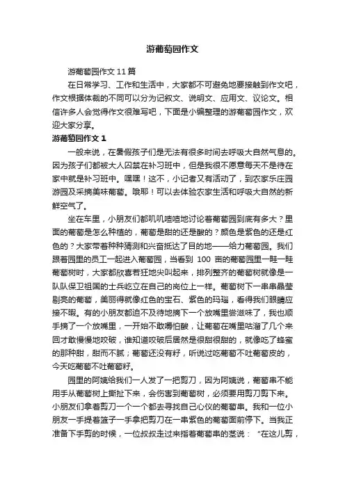 游葡萄园作文11篇