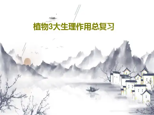 植物3大生理作用总复习26页PPT