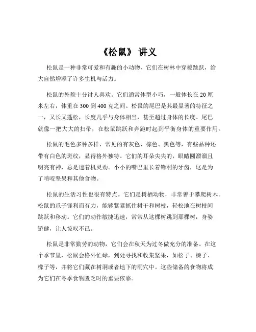 《松鼠》 讲义
