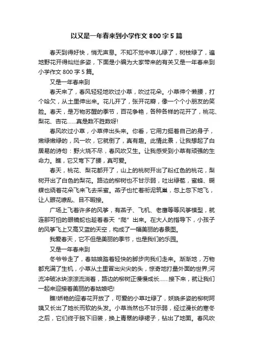 以又是一年春来到小学作文800字5篇