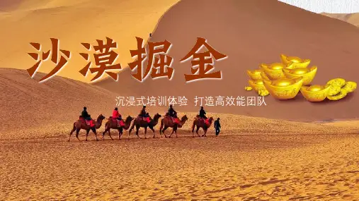 沙漠掘金课程方案