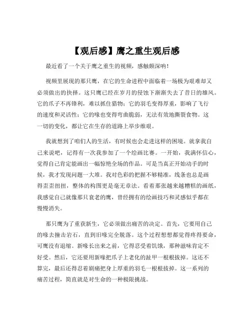 【观后感】鹰之重生观后感