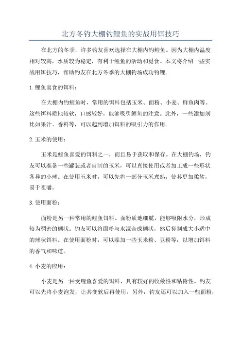 北方冬钓大棚钓鲤鱼的实战用饵技巧