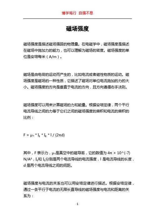 磁场强度_精品文档