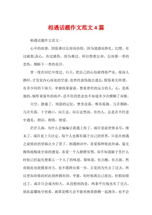 相遇话题作文范文4篇