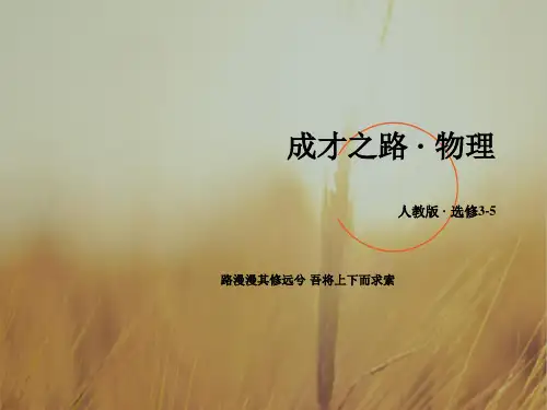 2018高二物理 选修3-5课件 第十七章 波粒二象性 第3节