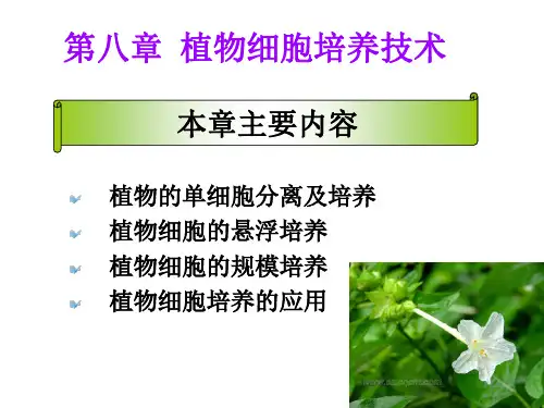 8.1植物单细胞培养
