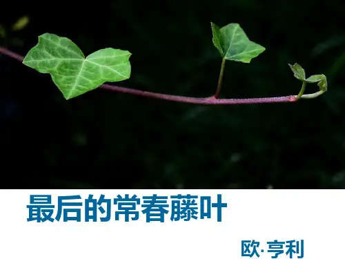 最后的常春藤叶优秀公开课课件