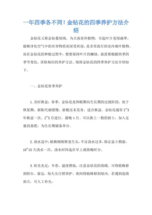 一年四季各不同!金钻花的四季养护方法介绍