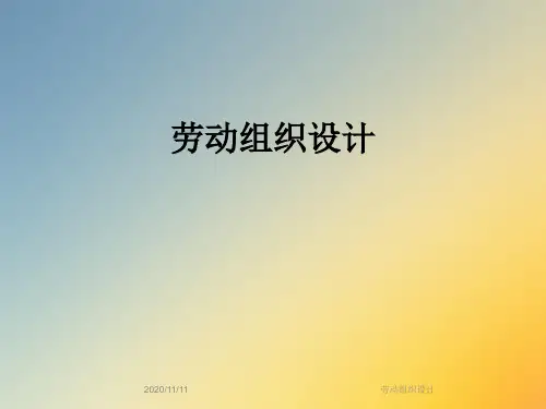 劳动组织设计