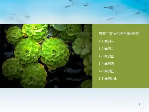 农业示范园区案例分析ppt课件
