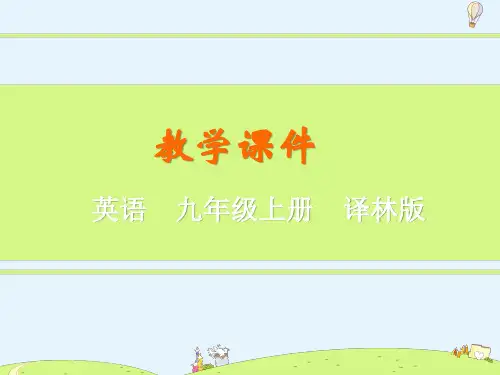 译林版九年级英语上册第2单元Grammar精品ppt教学课件