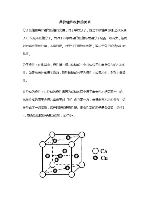 共价键和极性的关系