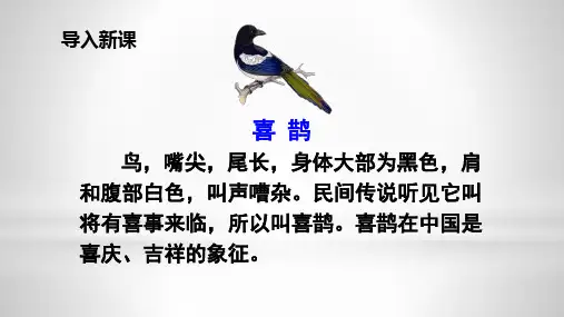 部编版一年级下册语文第六课《树和喜鹊》优秀课件