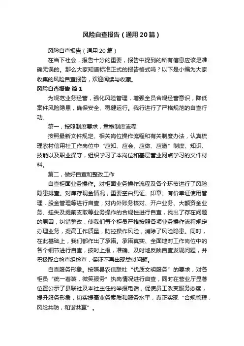 风险自查报告（通用20篇）