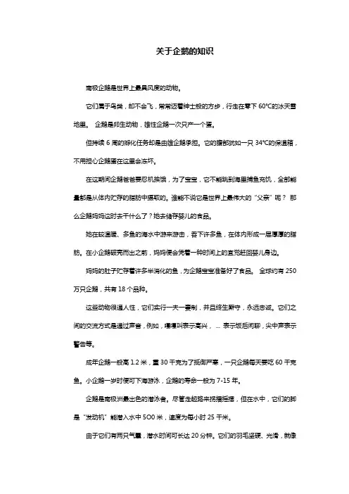 关于企鹅的知识20字