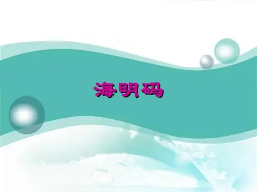 八、海明码