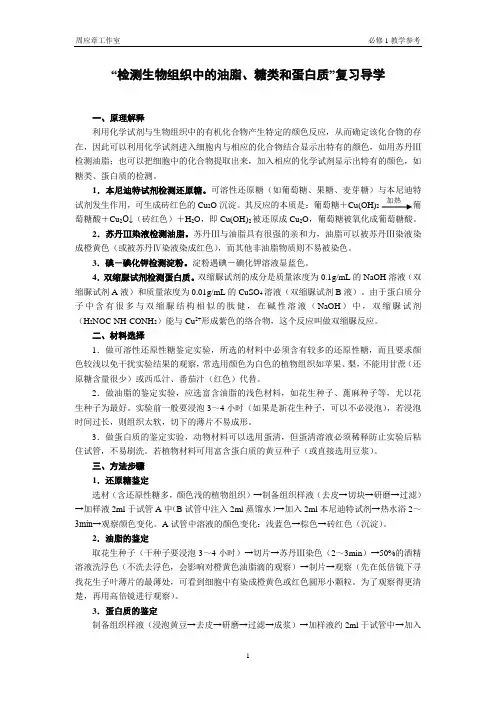 检测生物组织中的油脂糖类和蛋白质复习导学