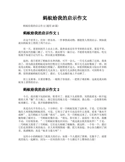 蚂蚁给我的启示作文