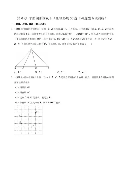 第6章平面图形的认识(一)(压轴必刷30题7种题型专项训练)(原卷版)