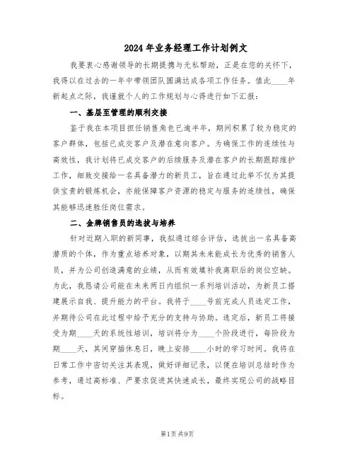 2024年业务经理工作计划例文（五篇）