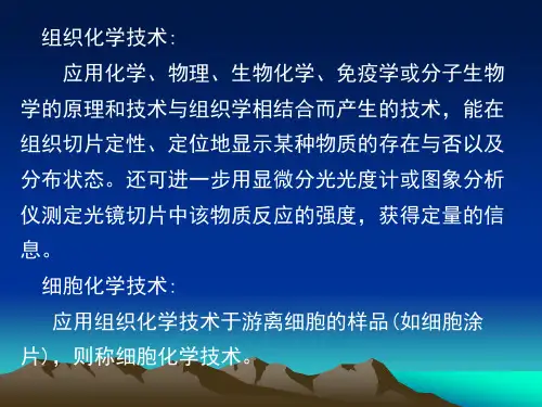 组织化学与细胞化学技术