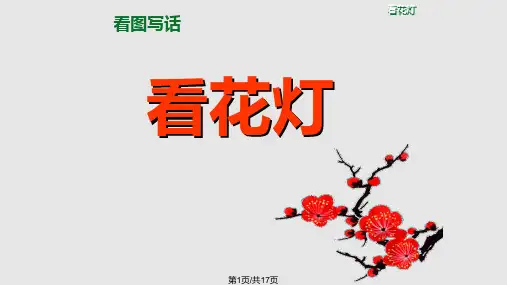 看图写话  看花灯PPT课件