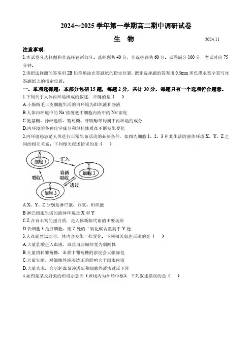 江苏省苏州市2024-2025学年高二上学期11月期中生物试题(含答案)