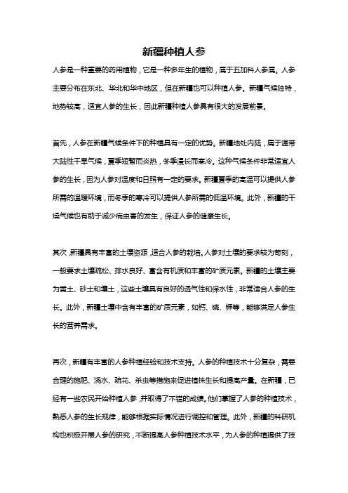 新疆种植人参