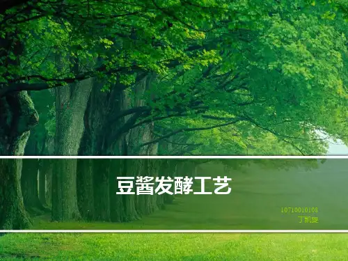 豆酱的发酵工艺