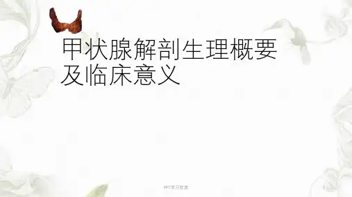 甲状腺基本解剖PPT课件