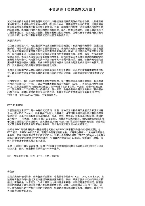 干货满满！荧光染料大总结！