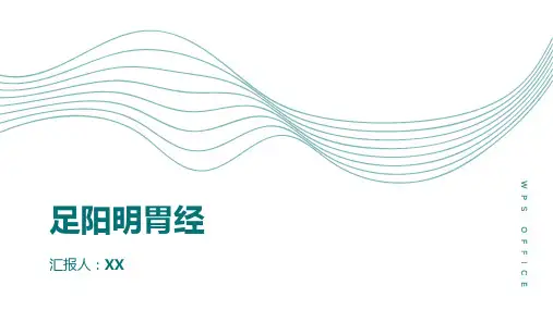 十二经脉之足阳明胃经