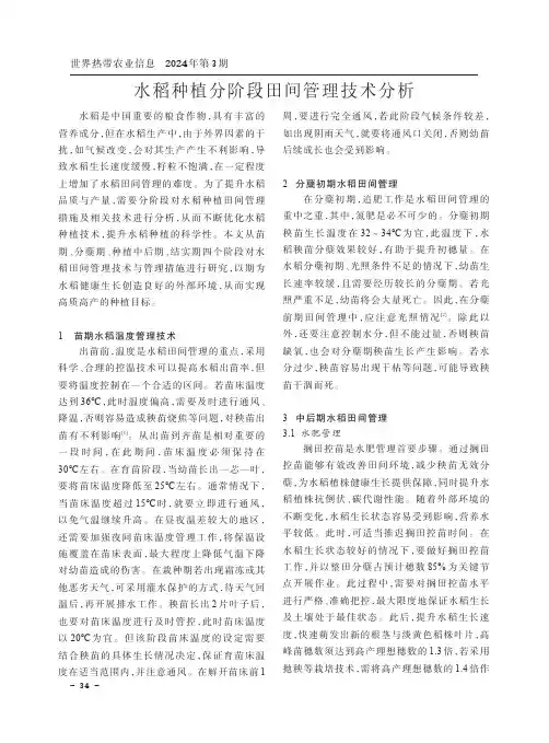 水稻种植分阶段田间管理技术分析