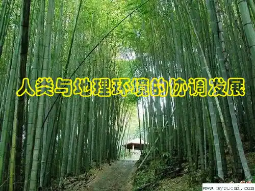 人地关系思想的演变.ppt-新人教