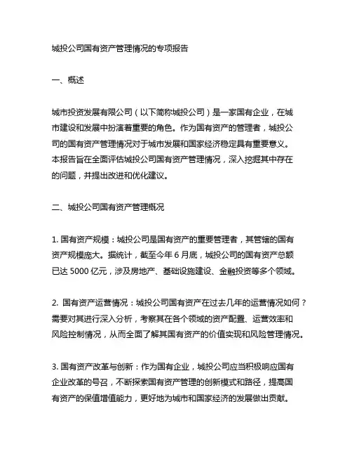 城投公司国有资产管理情况的专项报告