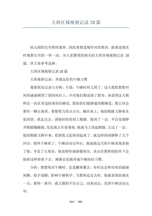 大班区域观察记录20篇