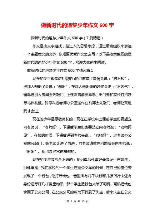 做新时代的追梦少年作文600字
