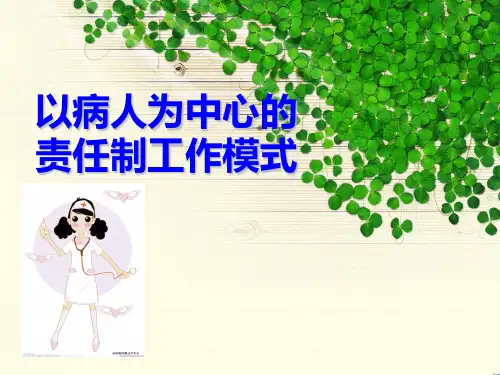 以病人为中心的责任制工作模式