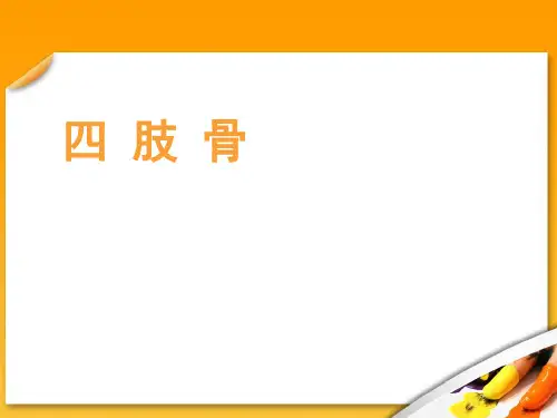 《正常人体解剖学》四肢骨骼  ppt课件