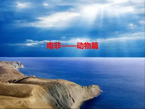 南非