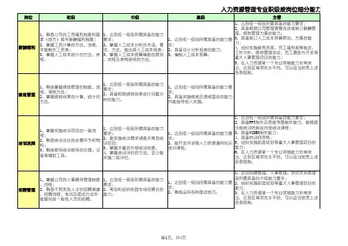 人力专业职级标准(试行)