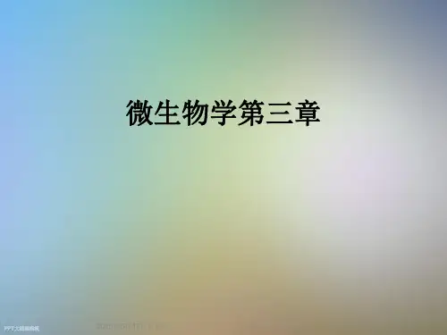 微生物学第三章