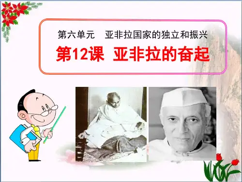 人教版《亚非拉的奋起》亚非拉国家的独立和振兴4教育课件