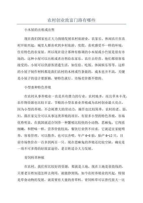 农村创业致富门路有哪些