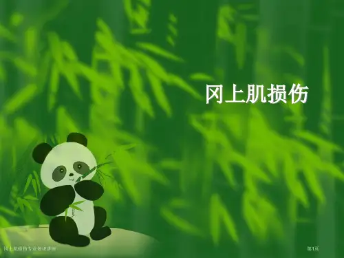 冈上肌损伤专业知识讲座