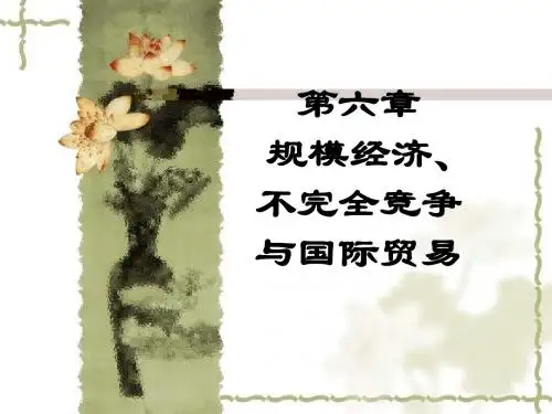 《国际经济学》PPT06