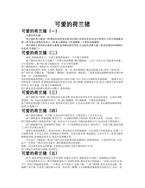 可爱的荷兰猪作文共九篇