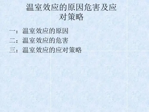 温室效应的原因危害及应对策略课件
